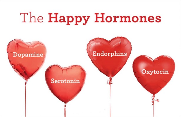 happy hormones